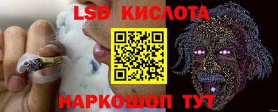 PSILOCYBIN Будённовск