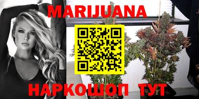 PSILOCYBIN Будённовск