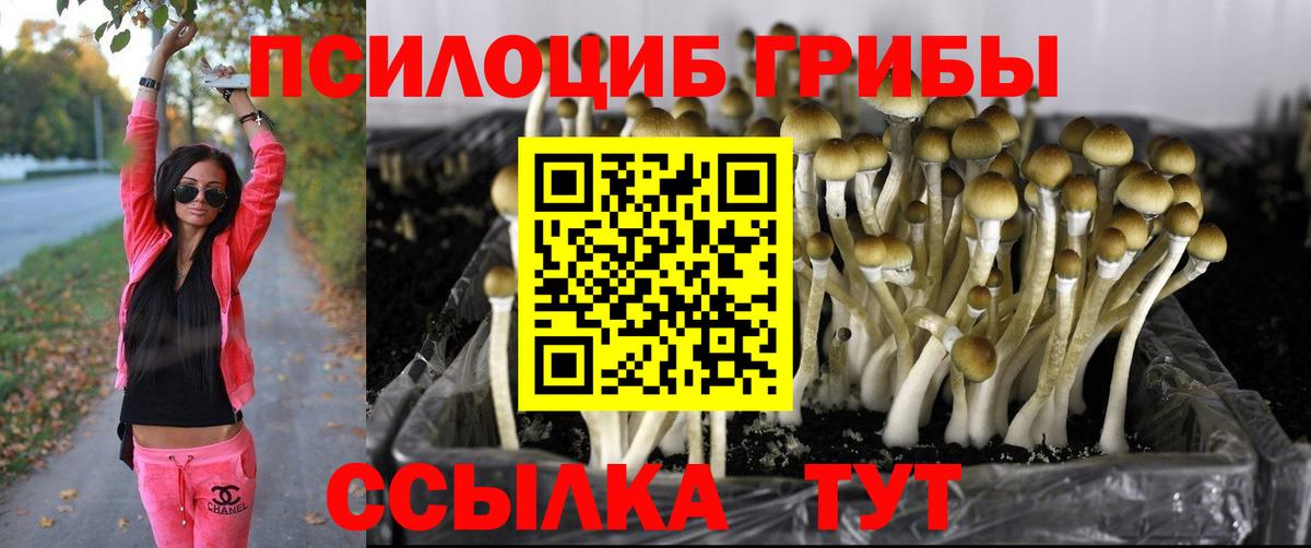 Галлюциногенные грибы Cubensis  Вход с VPN  Феодосия 
